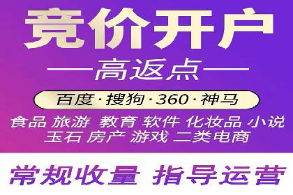 某电商平台信息流竞价策略及成效分析